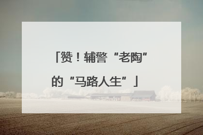赞！辅警“老陶”的“马路人生”
