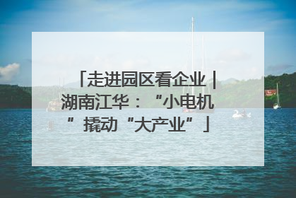 走进园区看企业｜湖南江华：“小电机”撬动“大产业”
