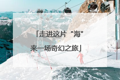 走进这片“海”来一场奇幻之旅