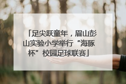 足尖跃童年，眉山彭山实验小学举行“海豚杯”校园足球联赛