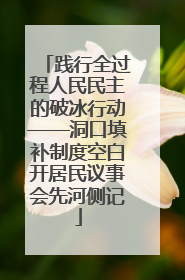 践行全过程人民民主的破冰行动——洞口填补制度空白开居民议事会先河侧记
