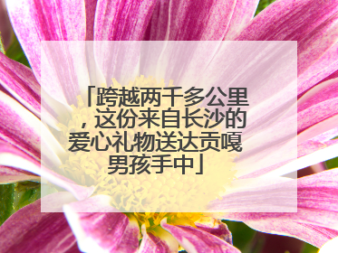 跨越两千多公里，这份来自长沙的爱心礼物送达贡嘎男孩手中