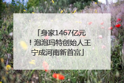 身家1467亿元！泡泡玛特创始人王宁成河南新首富