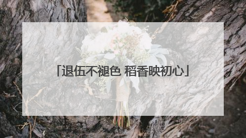 退伍不褪色 稻香映初心