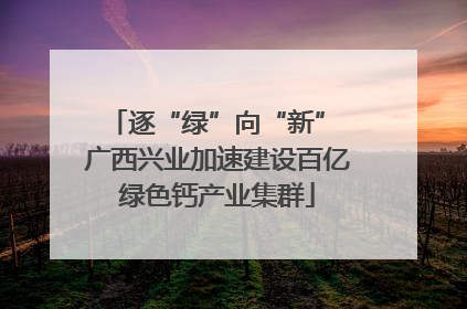 逐“绿”向“新” 广西兴业加速建设百亿绿色钙产业集群