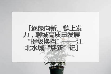 逐绿向新、链上发力，聊城高质量发展“提级换挡”——江北水城“焕新”记