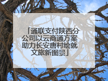 通联支付陕西分公司以云商通方案助力长安唐村绘就文旅新图景