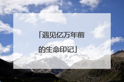 遇见亿万年前的生命印记