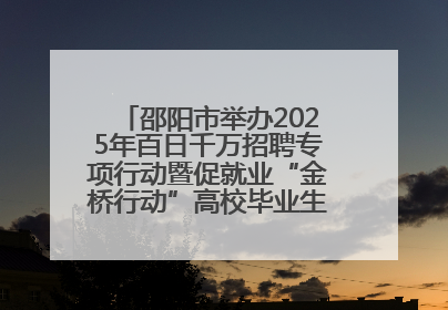 邵阳市举办2025年百日千万招聘专项行动暨促就业“金桥行动”高校毕业生专场招聘会