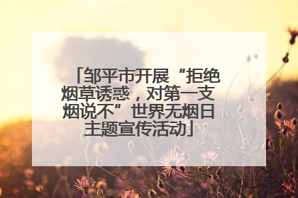 邹平市开展“拒绝烟草诱惑，对第一支烟说不”世界无烟日主题宣传活动