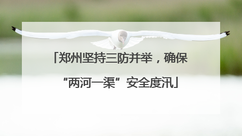 郑州坚持三防并举，确保“两河一渠”安全度汛