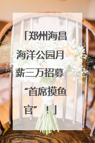 郑州海昌海洋公园月薪三万招募“首席摸鱼官”！