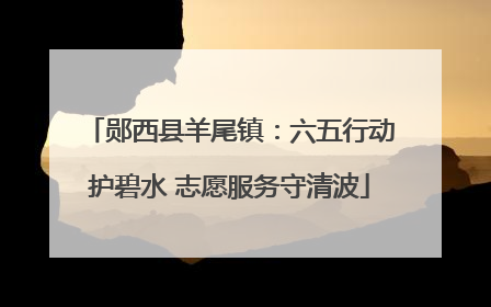 郧西县羊尾镇：六五行动护碧水 志愿服务守清波
