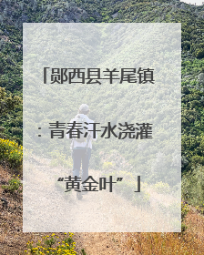 郧西县羊尾镇：青春汗水浇灌“黄金叶”