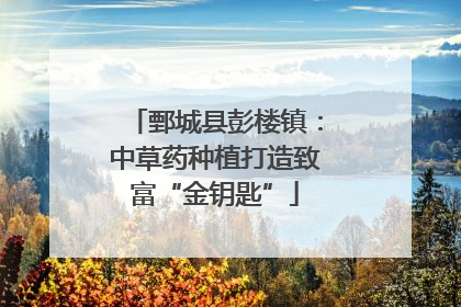 鄄城县彭楼镇：中草药种植打造致富“金钥匙”