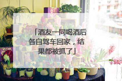 酒友一同喝酒后各自驾车回家，结果都被抓了