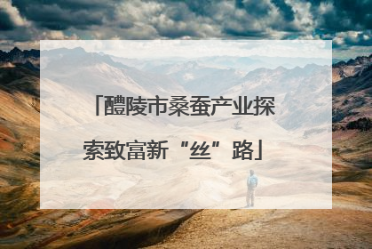 醴陵市桑蚕产业探索致富新“丝”路