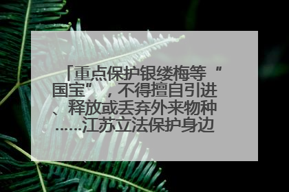 重点保护银缕梅等“国宝”，不得擅自引进、释放或丢弃外来物种……江苏立法保护身边的生物“朋友圈”