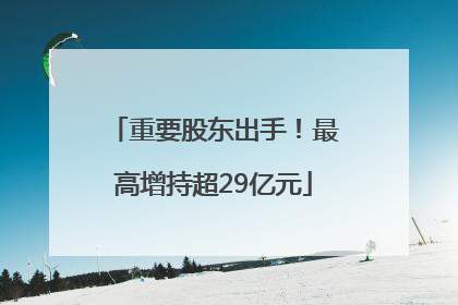 重要股东出手！最高增持超29亿元