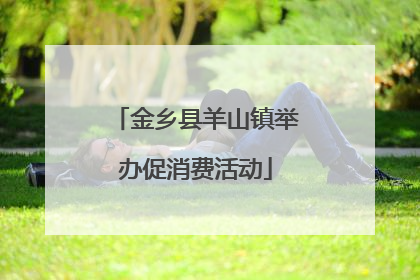 金乡县羊山镇举办促消费活动