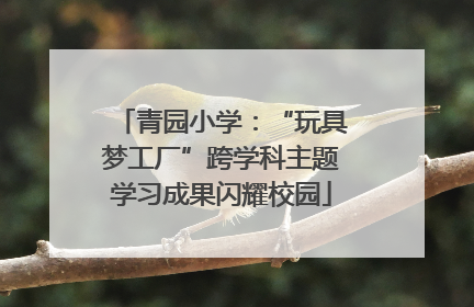 青园小学：“玩具梦工厂”跨学科主题学习成果闪耀校园