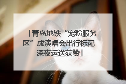 青岛地铁“宠粉服务区”成演唱会出行标配 深夜运送获赞