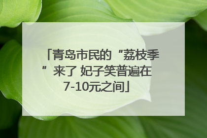 青岛市民的“荔枝季”来了 妃子笑普遍在7-10元之间