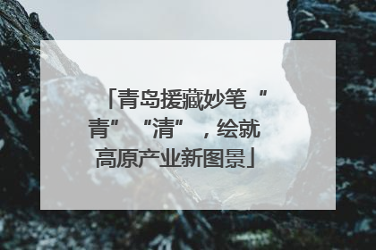 青岛援藏妙笔“青”“清”，绘就高原产业新图景
