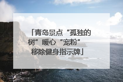 青岛景点“孤独的树”暖心“宠粉” 移除健身指示牌