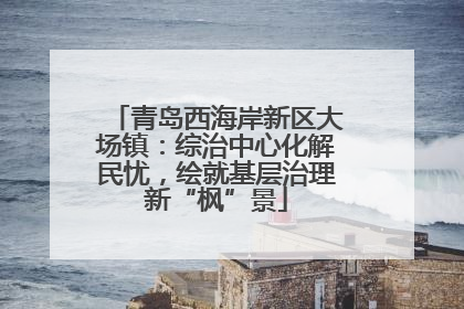 青岛西海岸新区大场镇：综治中心化解民忧，绘就基层治理新“枫”景