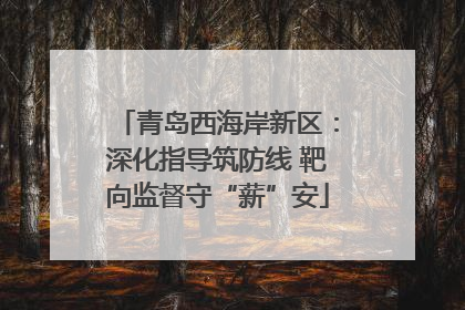 青岛西海岸新区：深化指导筑防线 靶向监督守“薪”安