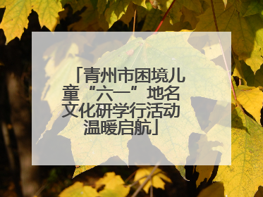 青州市困境儿童“六一”地名文化研学行活动温暖启航