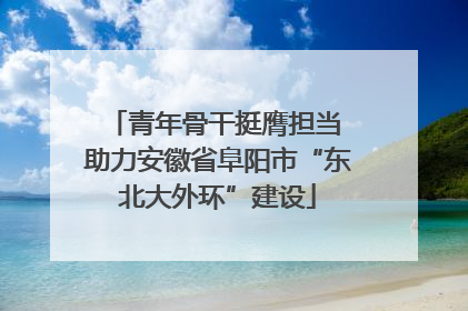 青年骨干挺膺担当 助力安徽省阜阳市“东北大外环”建设