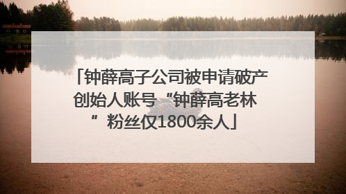 钟薛高子公司被申请破产 创始人账号“钟薛高老林”粉丝仅1800余人
