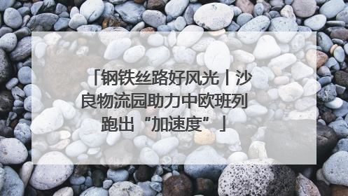 钢铁丝路好风光丨沙良物流园助力中欧班列跑出“加速度”