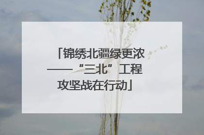 锦绣北疆绿更浓——“三北”工程攻坚战在行动