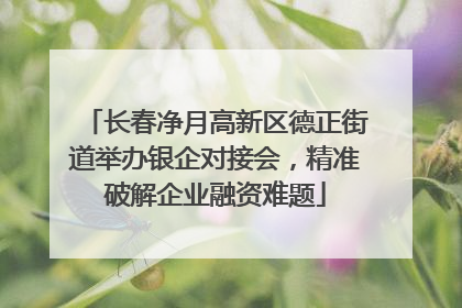 长春净月高新区德正街道举办银企对接会，精准破解企业融资难题
