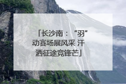 长沙南：“羽”动赛场展风采 汗洒征途竞锋芒