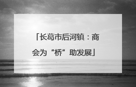 长葛市后河镇：商会为“桥”助发展