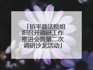 镇平县法院组织召开调研工作推进会暨第二次调研沙龙活动