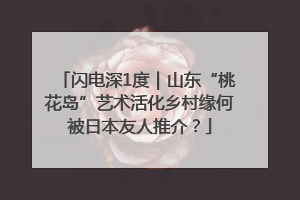 闪电深1度｜山东“桃花岛”艺术活化乡村缘何被日本友人推介？