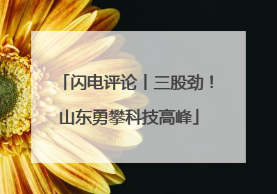 闪电评论丨三股劲！山东勇攀科技高峰