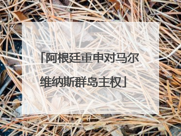 阿根廷重申对马尔维纳斯群岛主权