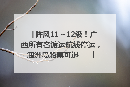 阵风11～12级！广西所有客渡运航线停运，涠洲岛船票可退……