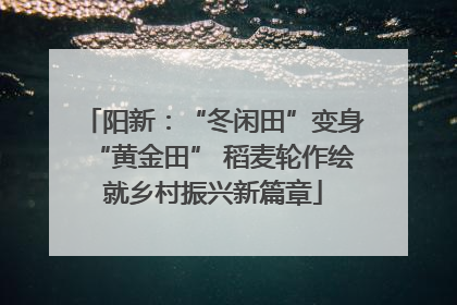 阳新：“冬闲田”变身“黄金田” 稻麦轮作绘就乡村振兴新篇章