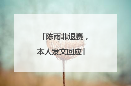 陈雨菲退赛，本人发文回应