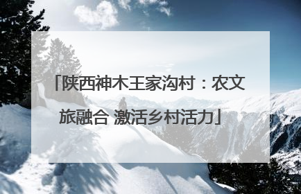 陕西神木王家沟村：农文旅融合 激活乡村活力