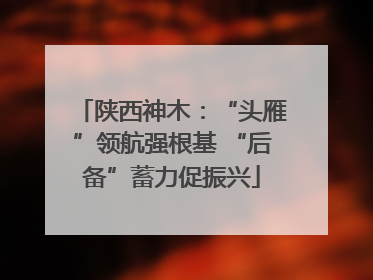 陕西神木：“头雁”领航强根基 “后备”蓄力促振兴