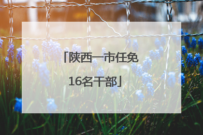 陕西一市任免16名干部