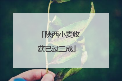 陕西小麦收获已过三成